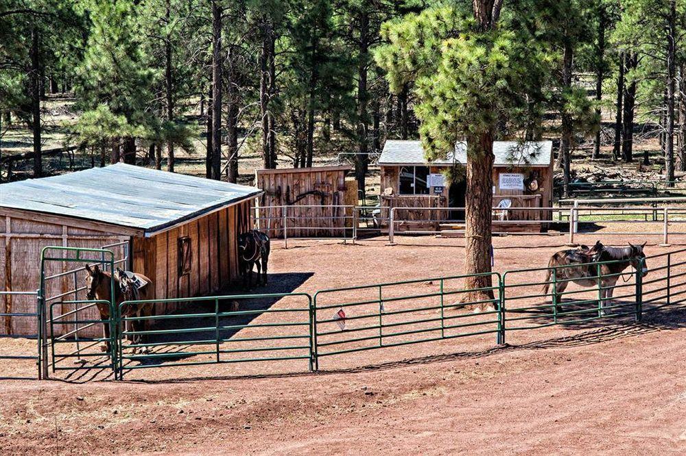 Mountain Ranch Resort At Beacon Hill วิลเลียมส์ ภายนอก รูปภาพ
