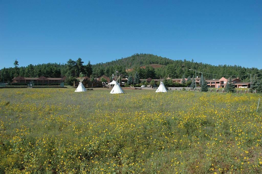 Mountain Ranch Resort At Beacon Hill วิลเลียมส์ ภายนอก รูปภาพ